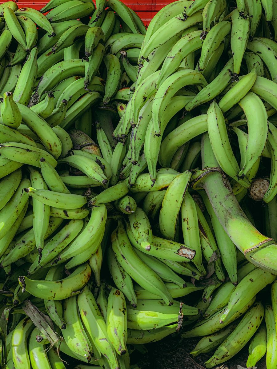 Fresh Plantain
